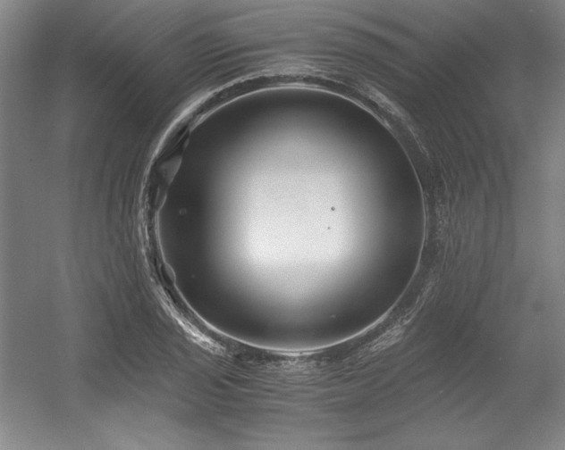 X0000056021029200508191322