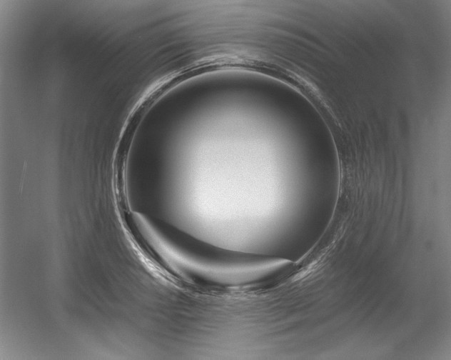 X0000056021034200508191322