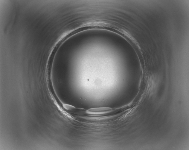 X0000056021037200508191322