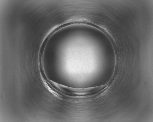 X0000056021038200508191322