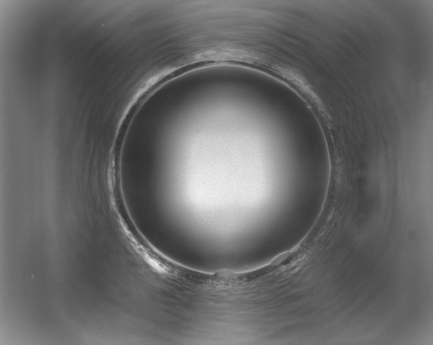 X0000056021040200508191322