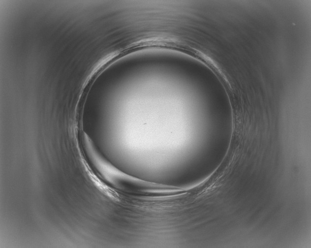 X0000056021042200508191322