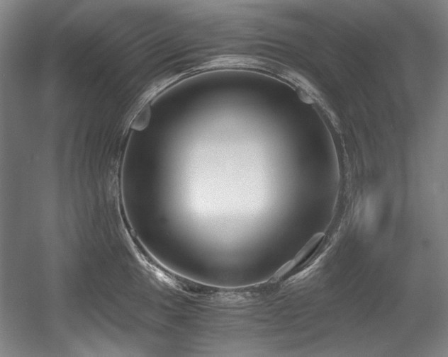 X0000056021049200508191322
