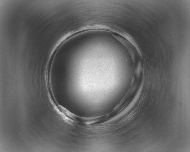 X0000056021054200508191322
