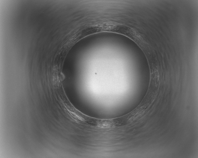 X0000056021058200508191322