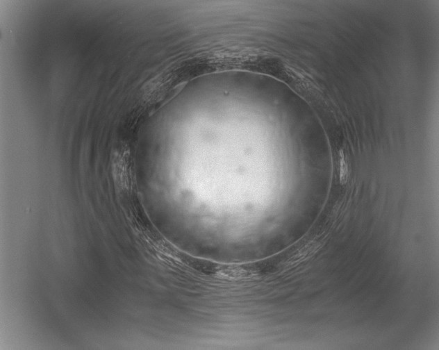 X0000056021059200508191322