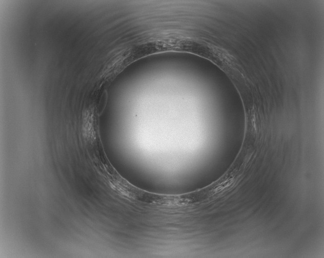 X0000056021060200508191322
