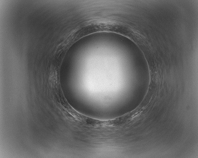 X0000056021061200508191321