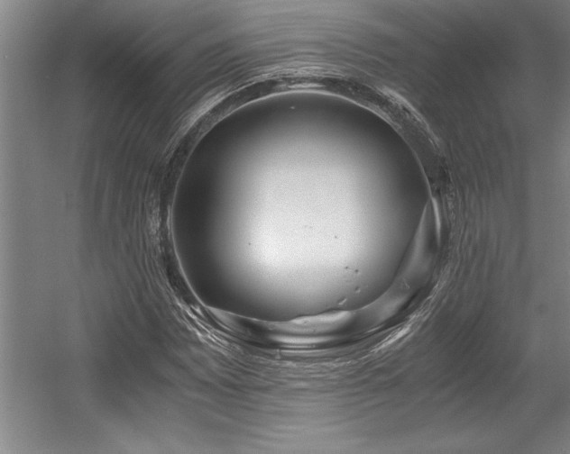 X0000056021065200508191321