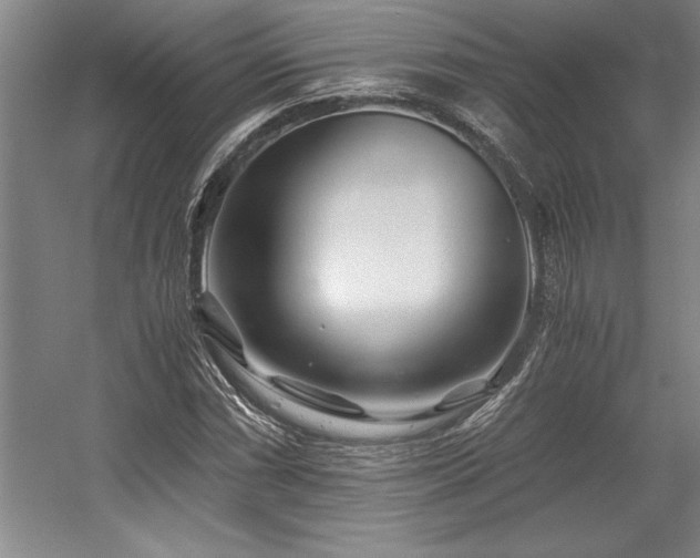 X0000056021066200508191321