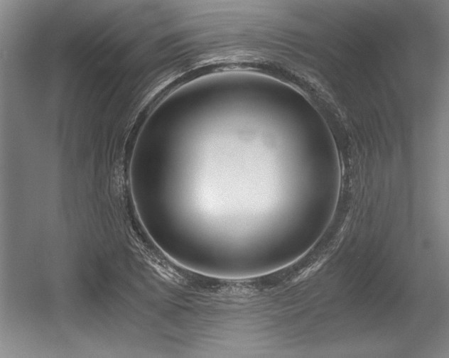 X0000056021073200508191321