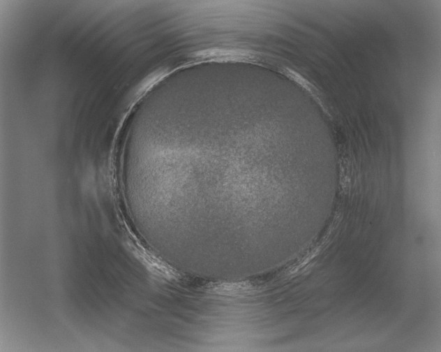 X0000056021074200508191321