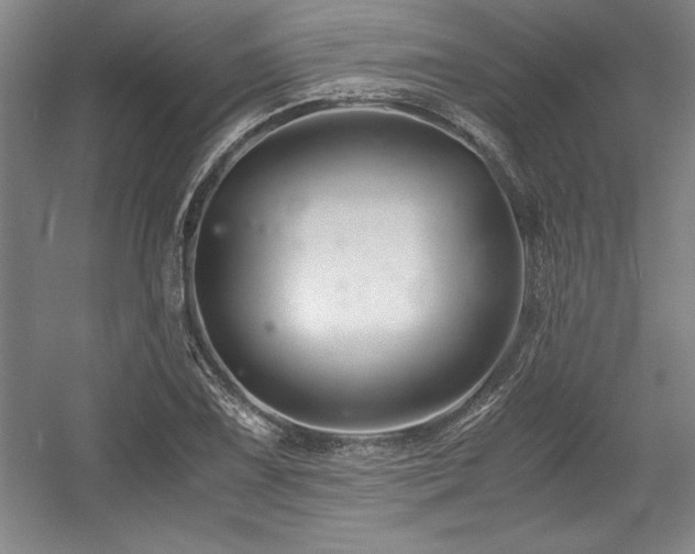 X0000056021075200508191321