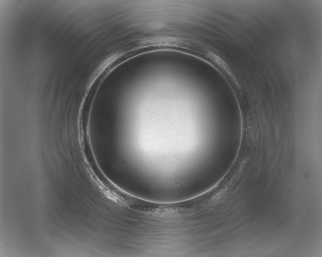 X0000056021082200508191321
