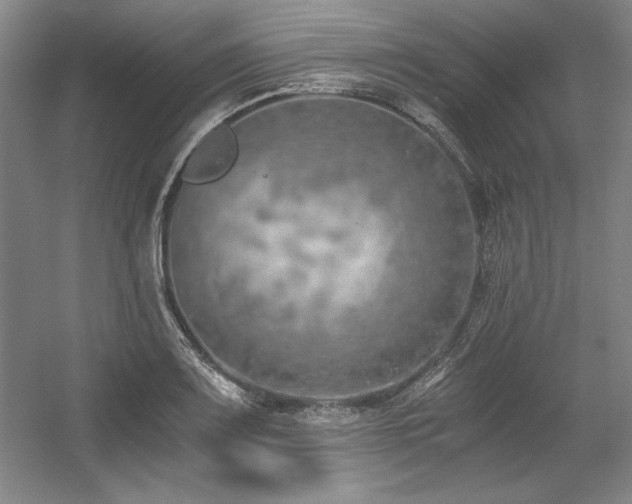 X0000056021083200508191321