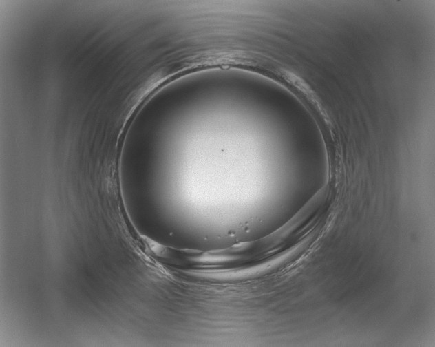 X0000056021089200508191321