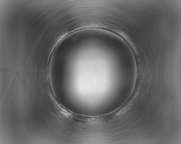 X0000056021097200508191321