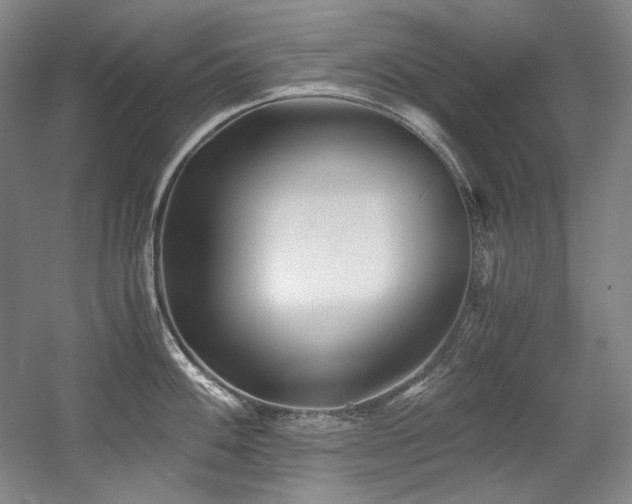 X0000056021100200508191321