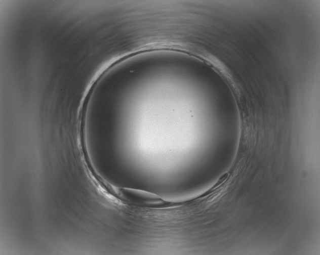 X0000056021102200508191321