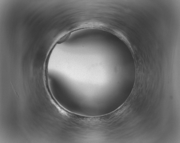 X0000056021103200508191321