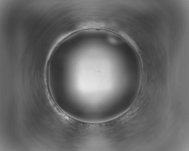 X0000056021104200508191321