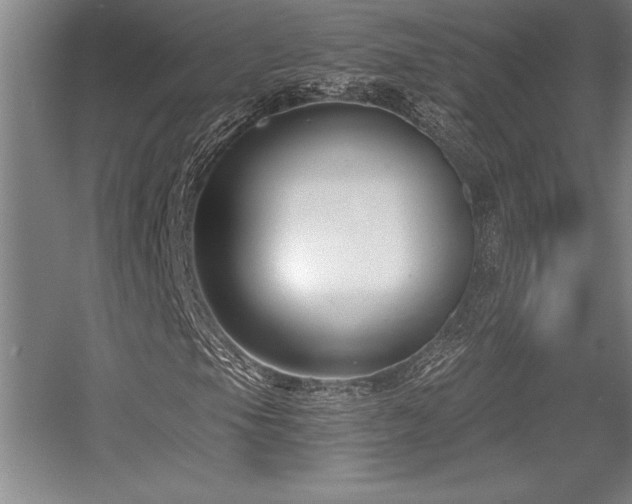 X0000056021105200508191320