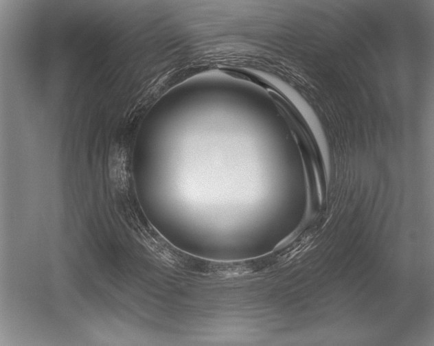 X0000056021108200508191320
