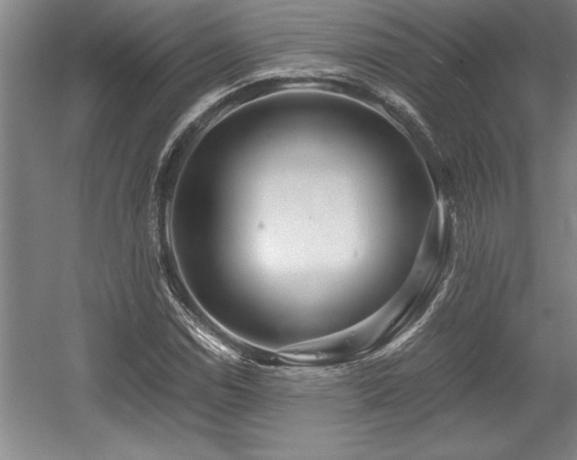 X0000056021114200508191320