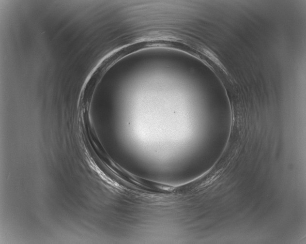 X0000056021116200508191320