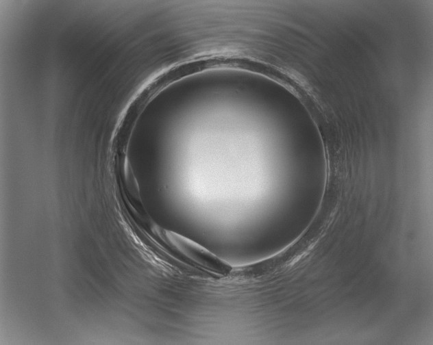 X0000056021118200508191320