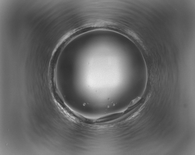 X0000056021122200508191320