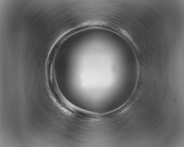 X0000056021124200508191320