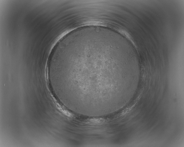 X0000056021125200508191320
