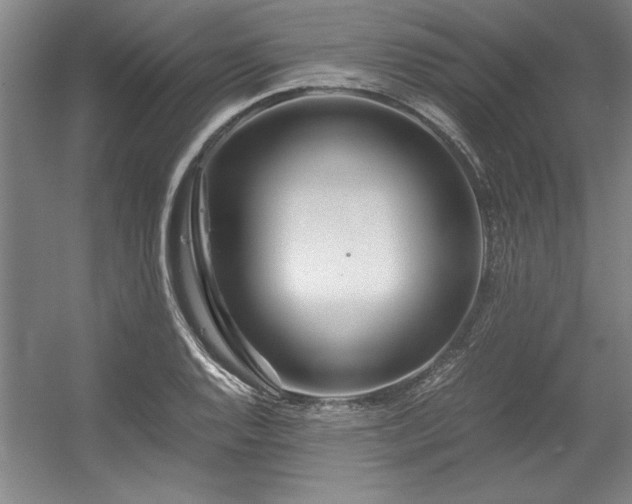 X0000056021128200508191320