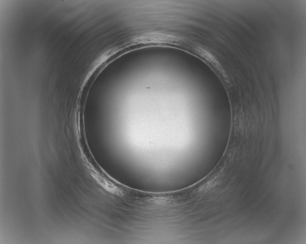 X0000056021130200508191320