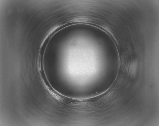 X0000056021131200508191320