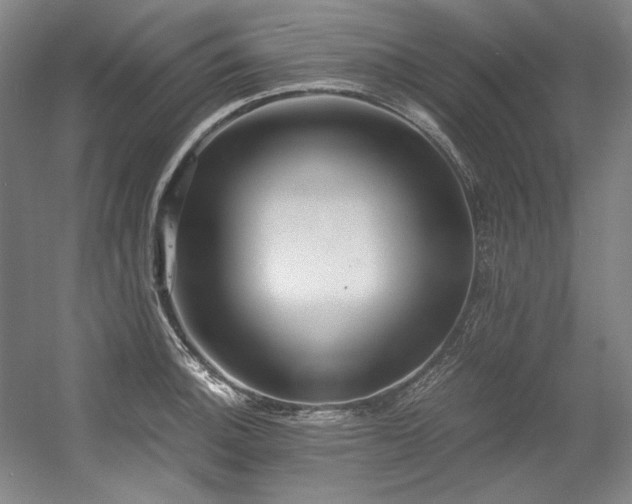 X0000056021140200508191321