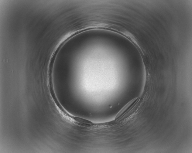 X0000056021143200508191321
