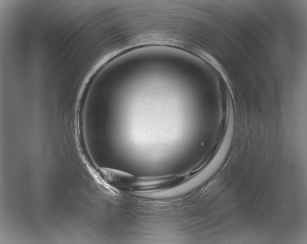X0000056021144200508191321