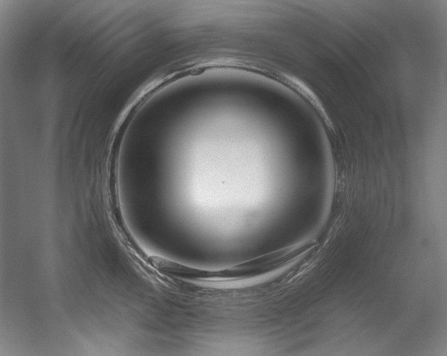 X0000056021146200508191321