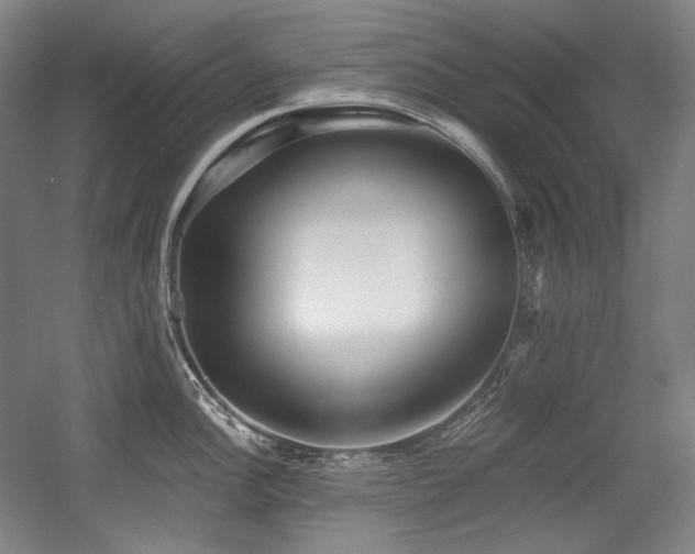 X0000056021148200508191321