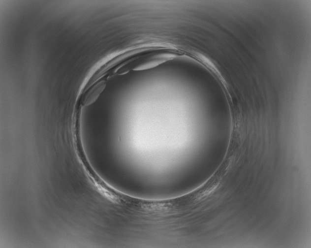 X0000056021149200508191321