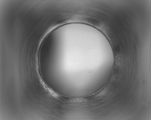 X0000056021150200508191321