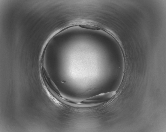 X0000056021152200508191321