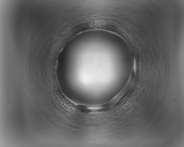 X0000056021153200508191320