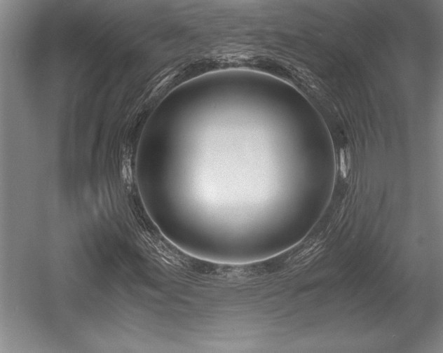 X0000056021155200508191320