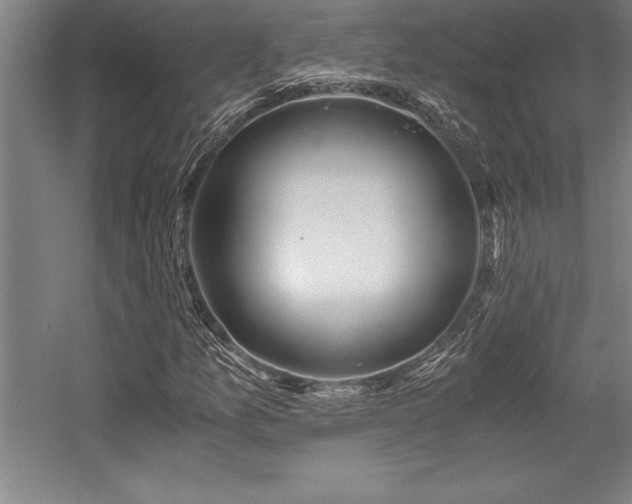 X0000056021157200508191320