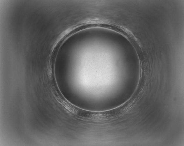 X0000056021167200508191320