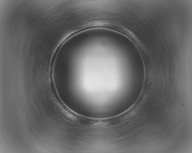 X0000056021178200508191319