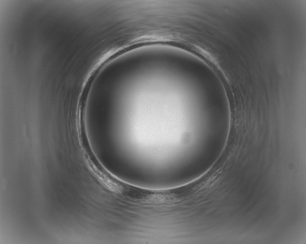 X0000056021179200508191319